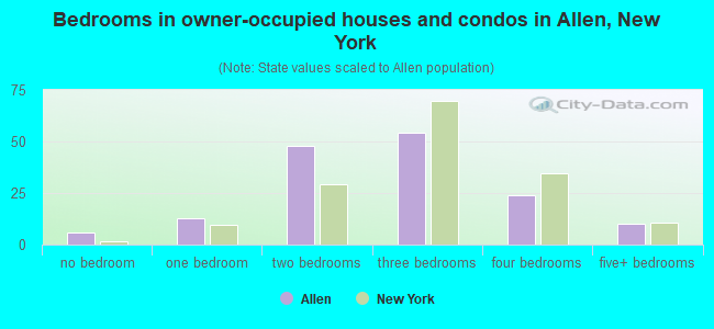 Bedrooms in owner-occupied houses and condos in Allen, New York