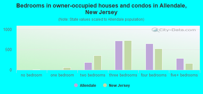 Bedrooms in owner-occupied houses and condos in Allendale, New Jersey