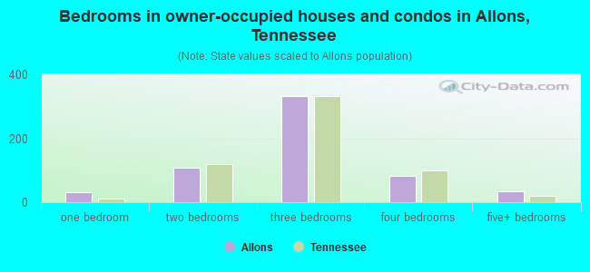 Bedrooms in owner-occupied houses and condos in Allons, Tennessee