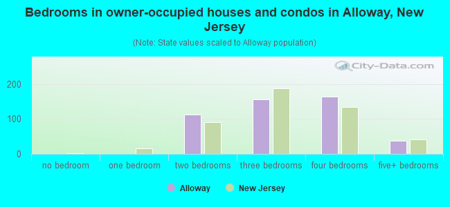 Bedrooms in owner-occupied houses and condos in Alloway, New Jersey