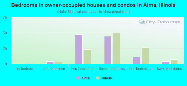 Bedrooms in owner-occupied houses and condos in Alma, Illinois