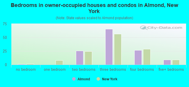 Bedrooms in owner-occupied houses and condos in Almond, New York