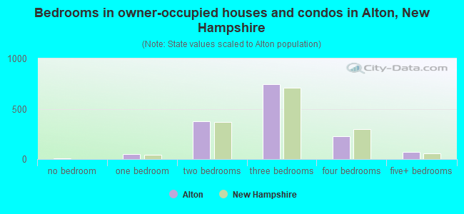 Bedrooms in owner-occupied houses and condos in Alton, New Hampshire