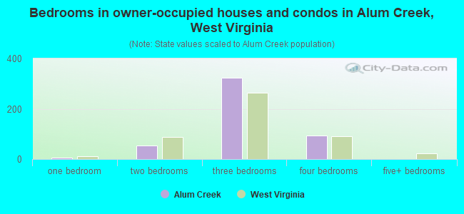 Bedrooms in owner-occupied houses and condos in Alum Creek, West Virginia