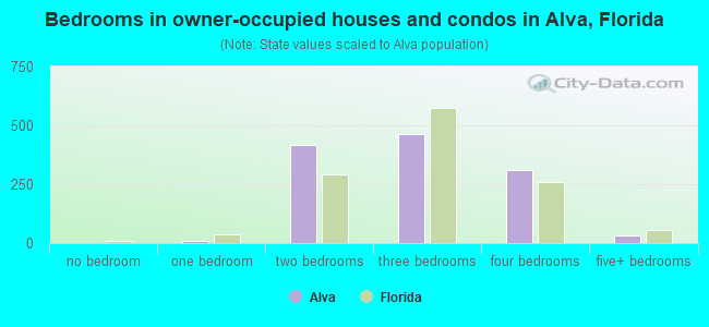 Bedrooms in owner-occupied houses and condos in Alva, Florida