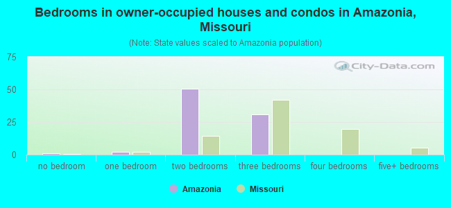 Bedrooms in owner-occupied houses and condos in Amazonia, Missouri