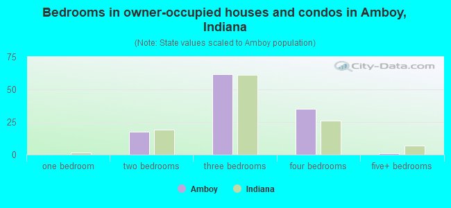 Bedrooms in owner-occupied houses and condos in Amboy, Indiana