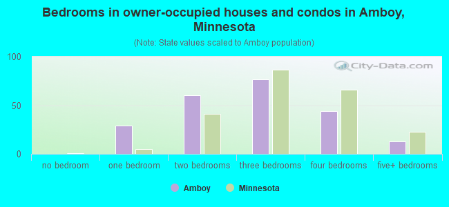 Bedrooms in owner-occupied houses and condos in Amboy, Minnesota