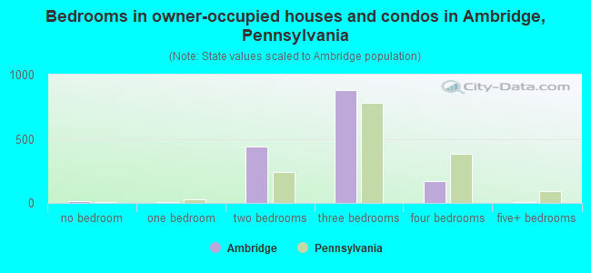 Bedrooms in owner-occupied houses and condos in Ambridge, Pennsylvania