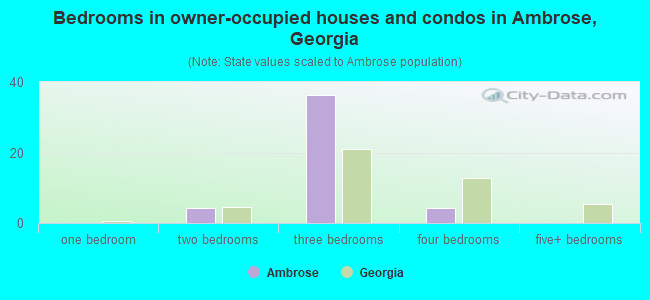Bedrooms in owner-occupied houses and condos in Ambrose, Georgia