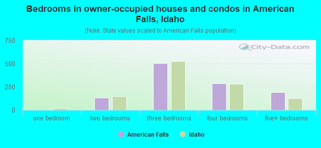 Bedrooms in owner-occupied houses and condos in American Falls, Idaho