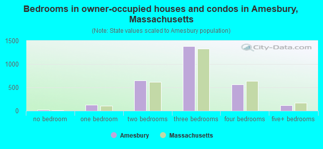 Bedrooms in owner-occupied houses and condos in Amesbury, Massachusetts