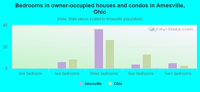 Bedrooms in owner-occupied houses and condos in Amesville, Ohio