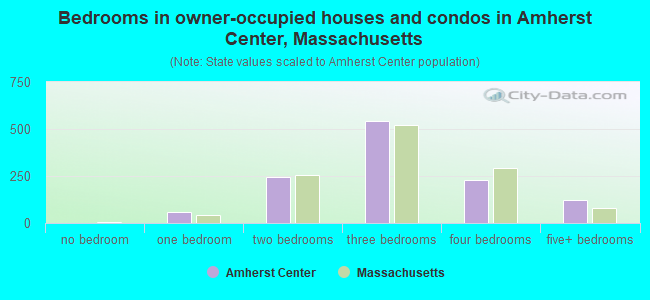Bedrooms in owner-occupied houses and condos in Amherst Center, Massachusetts