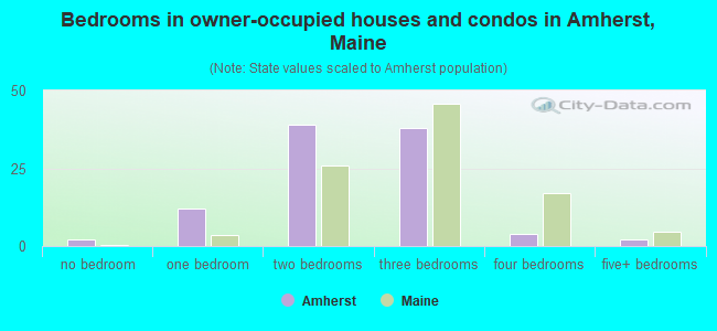 Bedrooms in owner-occupied houses and condos in Amherst, Maine