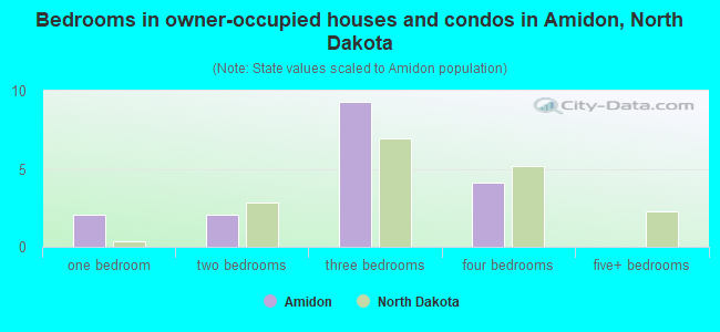 Bedrooms in owner-occupied houses and condos in Amidon, North Dakota
