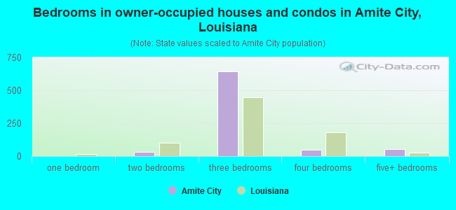 Bedrooms in owner-occupied houses and condos in Amite City, Louisiana