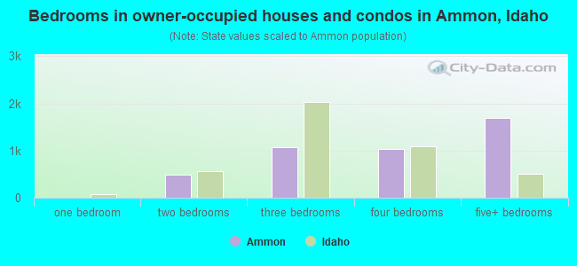Bedrooms in owner-occupied houses and condos in Ammon, Idaho