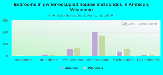 Bedrooms in owner-occupied houses and condos in Amnicon, Wisconsin