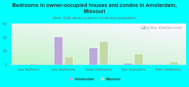 Bedrooms in owner-occupied houses and condos in Amsterdam, Missouri