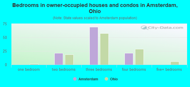 Bedrooms in owner-occupied houses and condos in Amsterdam, Ohio