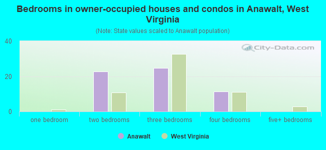 Bedrooms in owner-occupied houses and condos in Anawalt, West Virginia