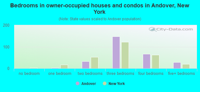 Bedrooms in owner-occupied houses and condos in Andover, New York