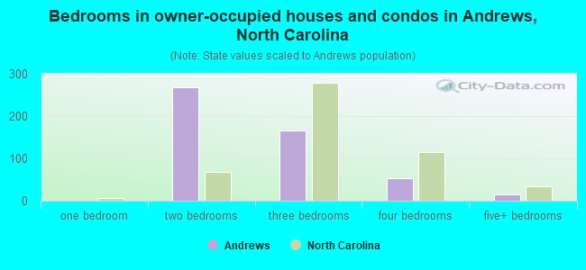 Bedrooms in owner-occupied houses and condos in Andrews, North Carolina