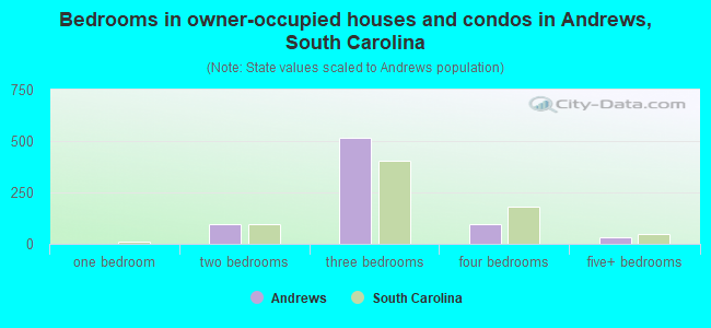 Bedrooms in owner-occupied houses and condos in Andrews, South Carolina