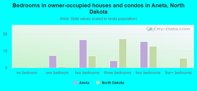 Bedrooms in owner-occupied houses and condos in Aneta, North Dakota