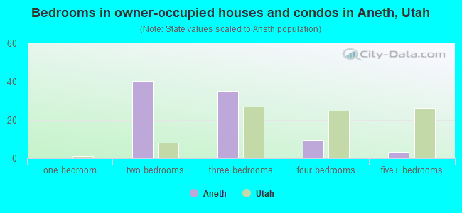Bedrooms in owner-occupied houses and condos in Aneth, Utah