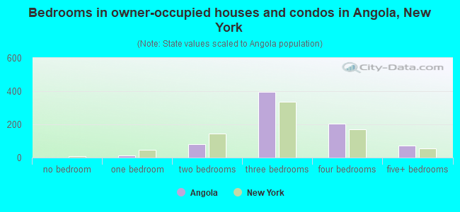 Bedrooms in owner-occupied houses and condos in Angola, New York