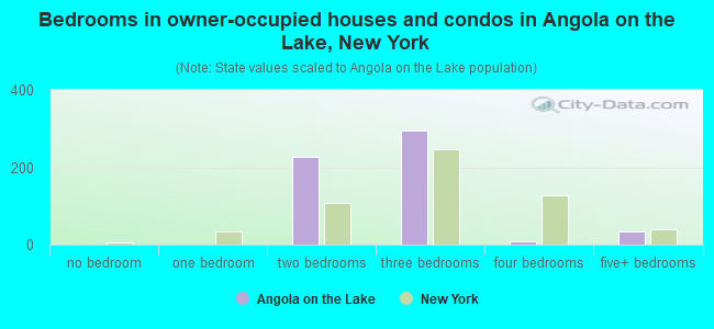 Bedrooms in owner-occupied houses and condos in Angola on the Lake, New York