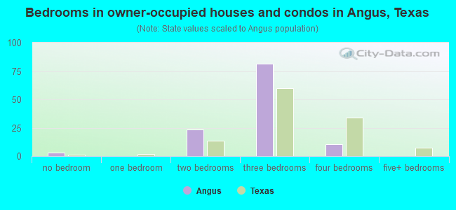 Bedrooms in owner-occupied houses and condos in Angus, Texas