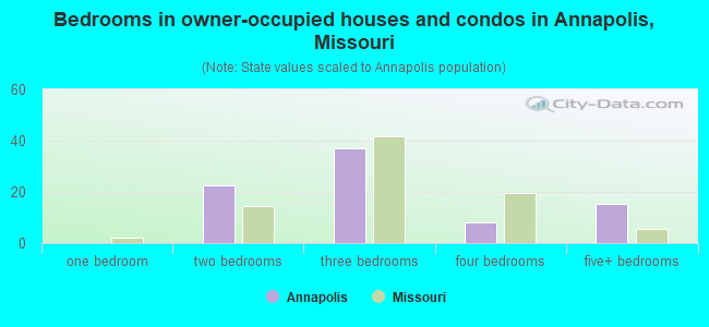 Bedrooms in owner-occupied houses and condos in Annapolis, Missouri