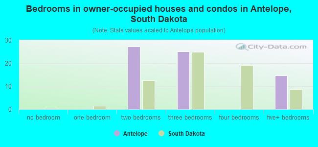 Bedrooms in owner-occupied houses and condos in Antelope, South Dakota