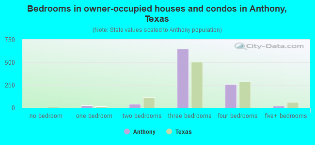 Bedrooms in owner-occupied houses and condos in Anthony, Texas