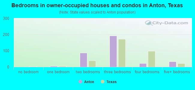 Bedrooms in owner-occupied houses and condos in Anton, Texas