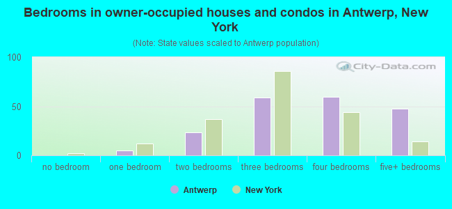 Bedrooms in owner-occupied houses and condos in Antwerp, New York
