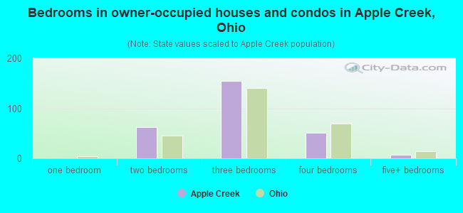 Bedrooms in owner-occupied houses and condos in Apple Creek, Ohio