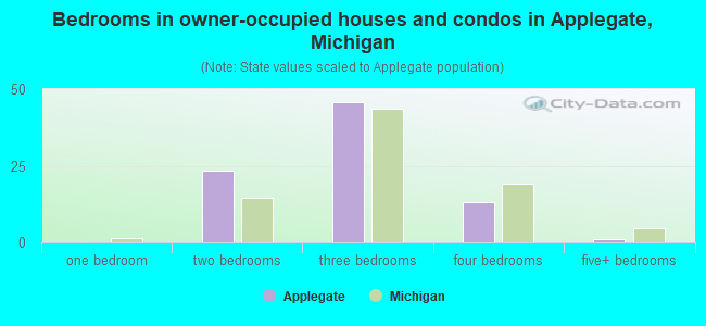 Bedrooms in owner-occupied houses and condos in Applegate, Michigan