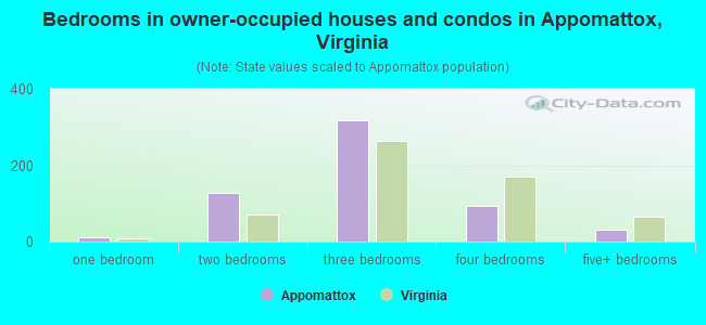 Bedrooms in owner-occupied houses and condos in Appomattox, Virginia