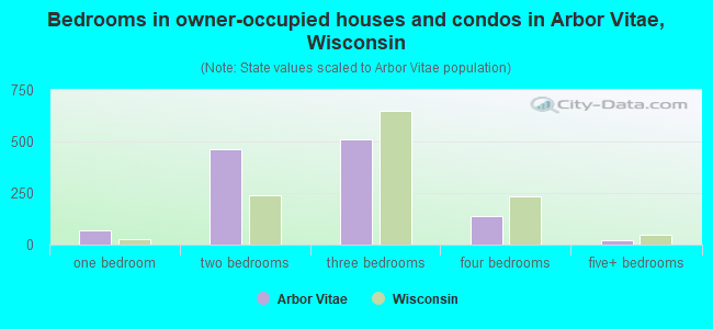 Bedrooms in owner-occupied houses and condos in Arbor Vitae, Wisconsin