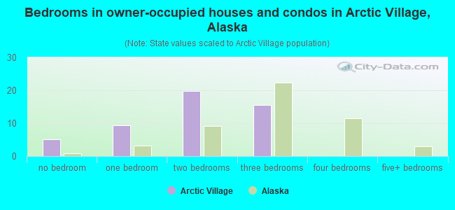 Bedrooms in owner-occupied houses and condos in Arctic Village, Alaska