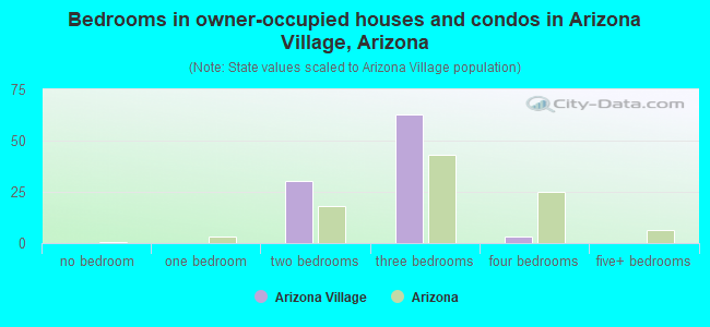 Bedrooms in owner-occupied houses and condos in Arizona Village, Arizona