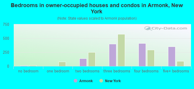 Bedrooms in owner-occupied houses and condos in Armonk, New York