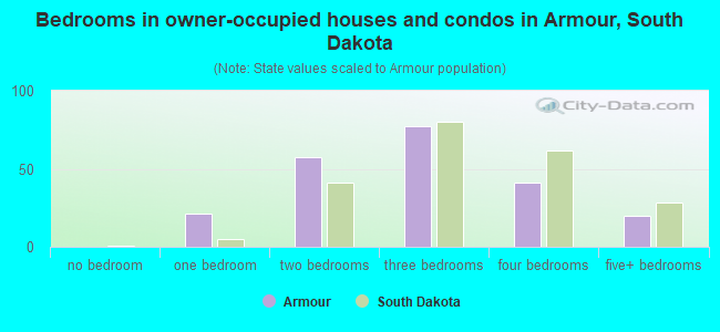 Bedrooms in owner-occupied houses and condos in Armour, South Dakota