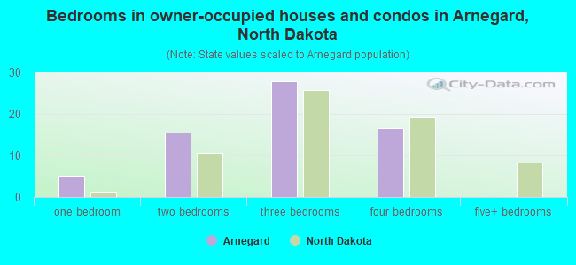 Bedrooms in owner-occupied houses and condos in Arnegard, North Dakota