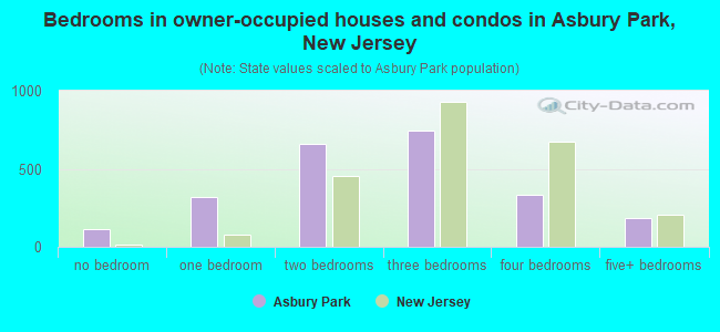 Bedrooms in owner-occupied houses and condos in Asbury Park, New Jersey