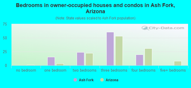 Bedrooms in owner-occupied houses and condos in Ash Fork, Arizona